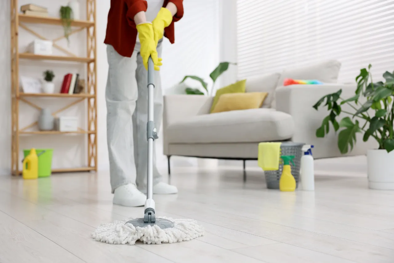 carpet cleaning extraction Connecticut Cepeda Cleaners